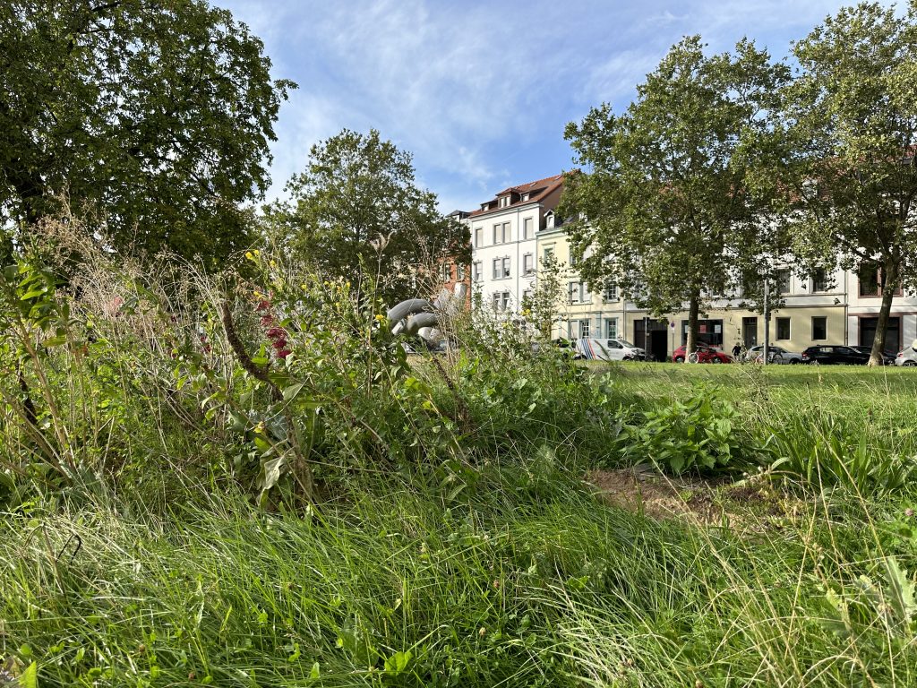 Julia Rabusai, „Stadtbiotop – Ästhetische Raumeinheit und unproduktive Vegetation“, 2023